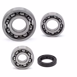 Crankshaft bearing for Crankshaft bearing for Yamaha TT-R230-TTR230V XT225-XT225E YFM250-MOTO-4--250 YFU1 PPS02292 the ball bearings and oil seals in OEM quality are suitable for the maintenance of your vehicle