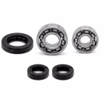 Engine housing bearings and seals for Honda autres-modeles PPS02306 the ball bearings and oil seals in OEM quality are suitable for the maintenance of your vehicle