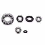 Engine case bearings and gaskets for Honda PCX PPS02307 the ball bearings and oil seals in OEM quality are suitable for the maintenance of your vehicle