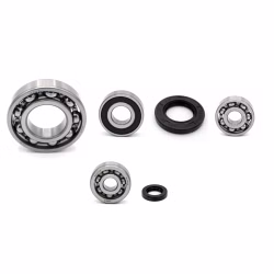 Engine case bearings and gaskets for Honda PCX PPS02307 the ball bearings and oil seals in OEM quality are suitable for the maintenance of your vehicle