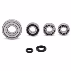Engine case bearings and seals for Honda CHS ELITE SPACY PPS02308 the ball bearings and oil seals in OEM quality are suitable for the maintenance of your vehicle