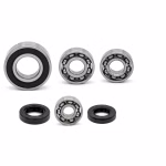 the ball bearings and oil seals in OEM quality are suitable for the maintenance of your vehicle