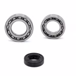 Ball bearing for the gearshift drum as spare part set in OEM quality for your vehicle