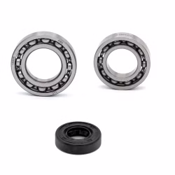Shift drum bearing for Honda GOLD-WING RUNE XR PPS02450 Ball bearing for the gearshift drum as spare part set in OEM quality for your vehicle