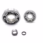 Kurbelwellenlager kompatibel mit Yamaha YFM660R YFM660R-YFM660RLER YFM660R-YFM660RN PPS02470 die Kugellager und Wellendichtringe in Erstausrüsterqualität eignen sich für die Wartung deines Fahrzeuges