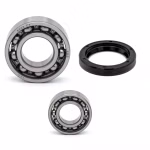 Rodamiento del eje secundario de la caja de cambios para KTM EXC MXC SX SXS PPS02475 Los rodamientos de bolas y los retenes de aceite en calidad de equipo original son adecuados para el mantenimiento de su vehículo.
