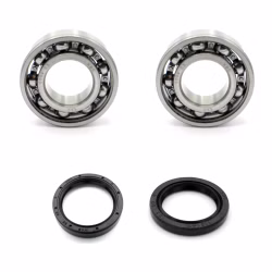 Ausgleichswelle Kurbelwelle kompatibel mit KTM RC PPS02478 Kugellagerfür die Ausgleichswelle der Kurbelwelle als Ersatzteil Set in Erstausrüsterqualität für dein Fahrzeug