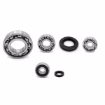 the ball bearings and oil seals in OEM quality are suitable for the maintenance of your vehicle