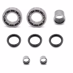 Radlager Schwinge hinten kompatibel mit Triumph Tiger PPS02535 abgedichtete Radlager für das Hinterrad an der Schwinge als Ersatzteil Set in Erstausrüsterqualität für dein Fahrzeug