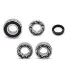 Getriebelager kompatibel mit Yamaha WR125R WR125X YZF-R125 PPS02564 die Kugellager und Wellendichtringe in Erstausrüsterqualität eignen sich für die Wartung deines Fahrzeuges