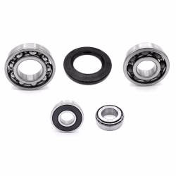 Getriebelager kompatibel mit Yamaha FZS1000 FZS1000-FAZER FZS1000S FZS1000S-FAZER YZF-R1 PPS02565 die Kugellager und Wellendichtringe in Erstausrüsterqualität eignen sich für die Wartung deines Fahrzeuges