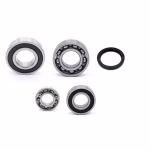 Gearbox bearing for Yamaha YFM700R YFM700R-SE YFM700RYFM700RE YFM700RYFM700RF YFM70RSBK PPS02590 the ball bearings and oil seals in OEM quality are suitable for the maintenance of your vehicle