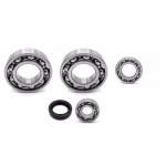 Crankshaft bearing for Crankshaft bearings for Suzuki EIGER KINGQUAD PPS02605 the ball bearings and oil seals in OEM quality are suitable for the maintenance of your vehicle