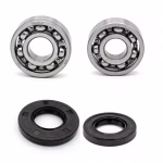 Crankshaft bearing for Crankshaft bearing for Suzuki TF125 TS TS-ER PPS02613 the ball bearings and oil seals in OEM quality are suitable for the maintenance of your vehicle
