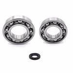 the ball bearings and oil seals in OEM quality are suitable for the maintenance of your vehicle