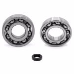 the ball bearings and oil seals in OEM quality are suitable for the maintenance of your vehicle