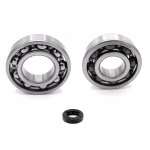 the ball bearings and oil seals in OEM quality are suitable for the maintenance of your vehicle