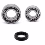 Gearbox bearing for Suzuki TS-X PPS02694 the ball bearings and oil seals in OEM quality are suitable for the maintenance of your vehicle