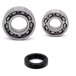 Gearbox bearing for Suzuki TS-X PPS02694 the ball bearings and oil seals in OEM quality are suitable for the maintenance of your vehicle