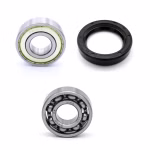 Secondary shaft gearbox bearing for KTM DUKE RC PPS02705 the ball bearings and oil seals in OEM quality are suitable for the maintenance of your vehicle