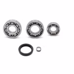 Getriebelager kompatibel mit GasGas EC 250 EC 250 E E START EC 250 RACING EC 300 EC 300 RACING PPS02732 die Kugellager und Wellendichtringe in Erstausrüsterqualität eignen sich für die Wartung deines Fahrzeuges