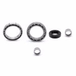 Schaltmechanimus Kugellager kompatibel mit KTM ATV SMR SX-F SXS XC-F PPS02748 Kugellager für den Schaltmechanismus als Ersatzteil Set in Erstausrüsterqualität für dein Fahrzeug