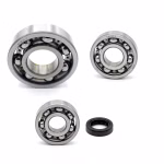 the ball bearings and oil seals in OEM quality are suitable for the maintenance of your vehicle