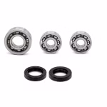 Engine case bearings and gaskets for Vespa GTS PPS02812 the ball bearings and oil seals in OEM quality are suitable for the maintenance of your vehicle