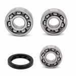 Gearbox bearing for Suzuki V-STROM PPS02894 the ball bearings and oil seals in OEM quality are suitable for the maintenance of your vehicle