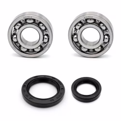 Crankshaft bearing for Crankshaft bearing for Suzuki TS-R PPS02897 the ball bearings and oil seals in OEM quality are suitable for the maintenance of your vehicle