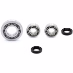 Crankshaft bearing for Crankshaft bearings for Piaggio LIBERTY PPS02921 the ball bearings and oil seals in OEM quality are suitable for the maintenance of your vehicle