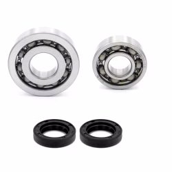Crankshaft bearing for Crankshaft bearings for Piaggio FREE PPS02922 the ball bearings and oil seals in OEM quality are suitable for the maintenance of your vehicle