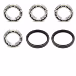 Radlager hinten kompatibel mit Suzuki QUADRACER PPS02994 abgedichtete Radlager für das Hinterrad als Ersatzteil Set in Erstausrüsterqualität für dein Fahrzeug