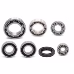 Differentialgetriebe Lagerung kompatibel mit Honda GYRO PPS03002 Kugellager für das Differentialgetriebe in Erstausrüsterqualität für dein Fahrzeug