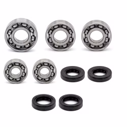 Engine case bearings and seals for Rieju BYE BIKE 25 KM H EURO4 HOLLAND BLACK PPS03021 the ball bearings and oil seals in OEM quality are suitable for the maintenance of your vehicle