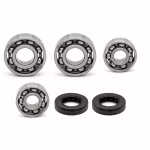the ball bearings and oil seals in OEM quality are suitable for the maintenance of your vehicle