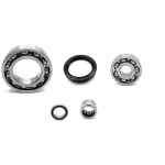 Engine case bearings and seals for Rieju CITYLINE IE 125 300 WHITE PPS03024 the ball bearings and oil seals in OEM quality are suitable for the maintenance of your vehicle