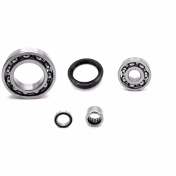 Engine case bearings and seals for Rieju CITYLINE IE 125 300 WHITE PPS03024 the ball bearings and oil seals in OEM quality are suitable for the maintenance of your vehicle