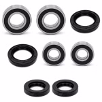 Front wheel bearing for Kawasaki BRUTE FORCE 300 Brute Force 300 KVF300 PPS03110 Sealed wheel bearings for the front axle as spare part set in OEM quality for your vehicle