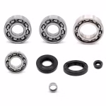 the ball bearings and oil seals in OEM quality are suitable for the maintenance of your vehicle
