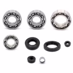 the ball bearings and oil seals in OEM quality are suitable for the maintenance of your vehicle