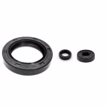 Sealings for the variator as spare part set in OEM quality for your vehicle
