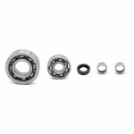 Engine case bearings and gaskets for Triumph Rocket III PPS03149 the ball bearings and oil seals in OEM quality are suitable for the maintenance of your vehicle