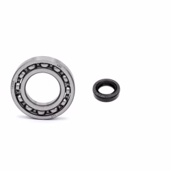 Gearshift drum bearing for Suzuki BOULEVARD EIGER INTRUDER KINGQUAD PPS03163 Ball bearing for the gearshift drum as spare part set in OEM quality for your vehicle