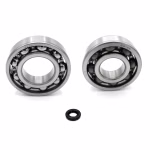 the ball bearings and oil seals in OEM quality are suitable for the maintenance of your vehicle