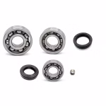 the ball bearings and oil seals in OEM quality are suitable for the maintenance of your vehicle
