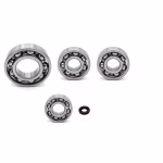 Gearbox bearing for Suzuki VINSON PPS03175 the ball bearings and oil seals in OEM quality are suitable for the maintenance of your vehicle