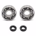 Timing Kugellager kompatibel mit Polaris OUTLAW 450 MXR OUTLAW 450 S OUTLAW 525 2X4 IRS PPS03260 Kugellager für die Steuereinheit der Nockenwelle als Ersatzteil Set in Erstausrüsterqualität für dein Fahrzeug