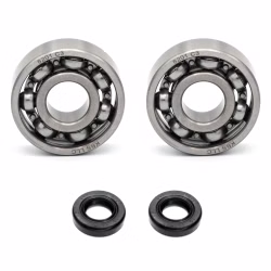 Timing Kugellager kompatibel mit Polaris OUTLAW 450 MXR OUTLAW 450 S OUTLAW 525 2X4 IRS PPS03260 Kugellager für die Steuereinheit der Nockenwelle als Ersatzteil Set in Erstausrüsterqualität für dein Fahrzeug