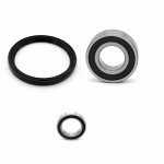 Converter spare parts for Piaggio HEXAGON SKIPPER PPS03309 Spare parts for the converter unit as spare part set in OEM quality for your vehicle